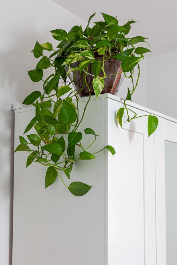 Casa Ignazia In Lajares Apartment Ngoại thất bức ảnh
